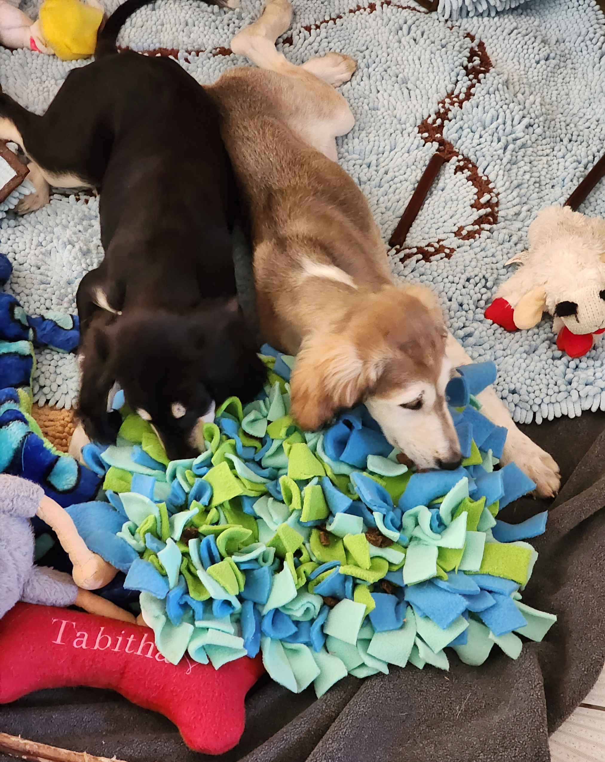 Puzzle Feeder Snuffle Mat for Dogs, Lick Mat for Dogs to Slow Down