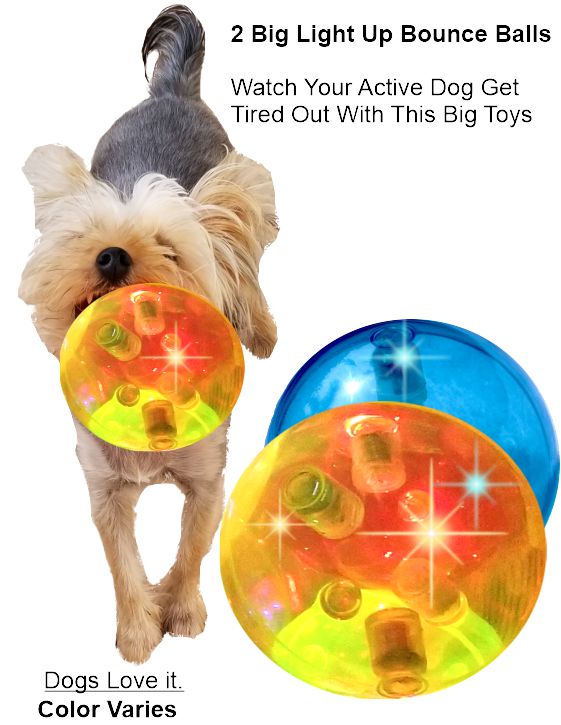 bouncing ball for dogs