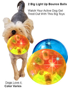 flashing dog ball