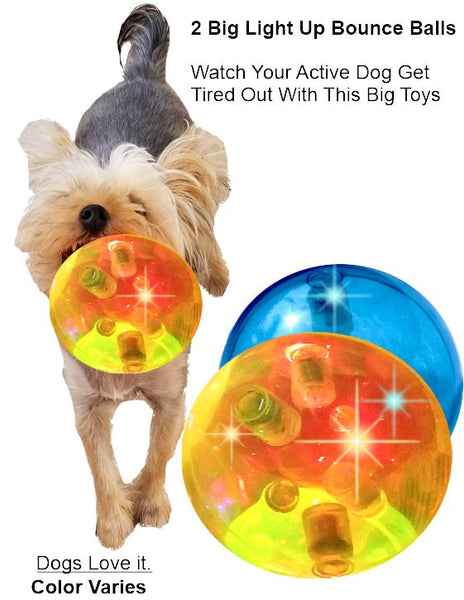 bouncing ball for dogs