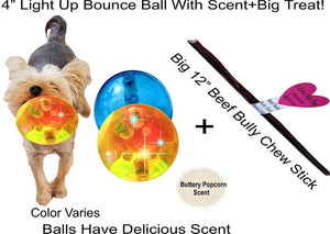 balls for dogs that light up