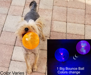 dog toy ball that lights up