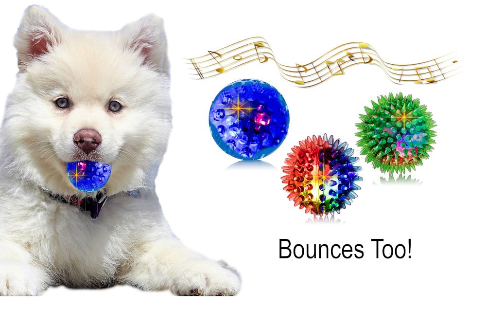 toys for blind dogs