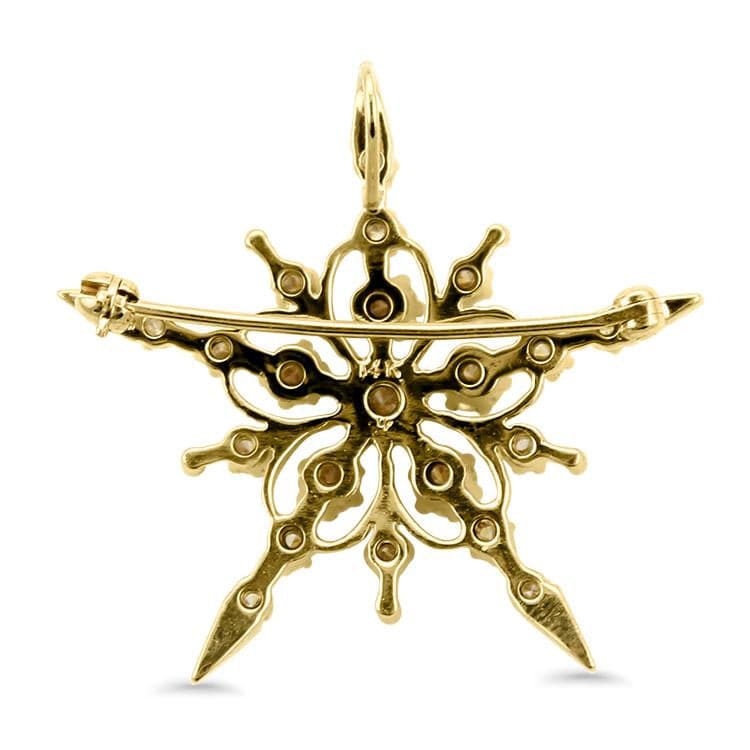 Diamond Star Pin & Pendant