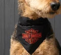 Harley Davidson Pet Bandana in Orange or Black - Yellowstone Harley-Davidson