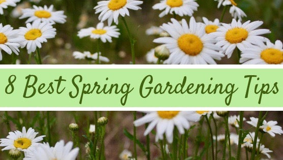 8 best spring gardening tips from Pressed Wishes 