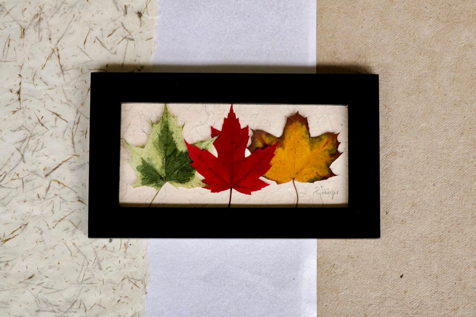 Real Pressed Maple Leaf Home Decor Original By Pressed Wishes