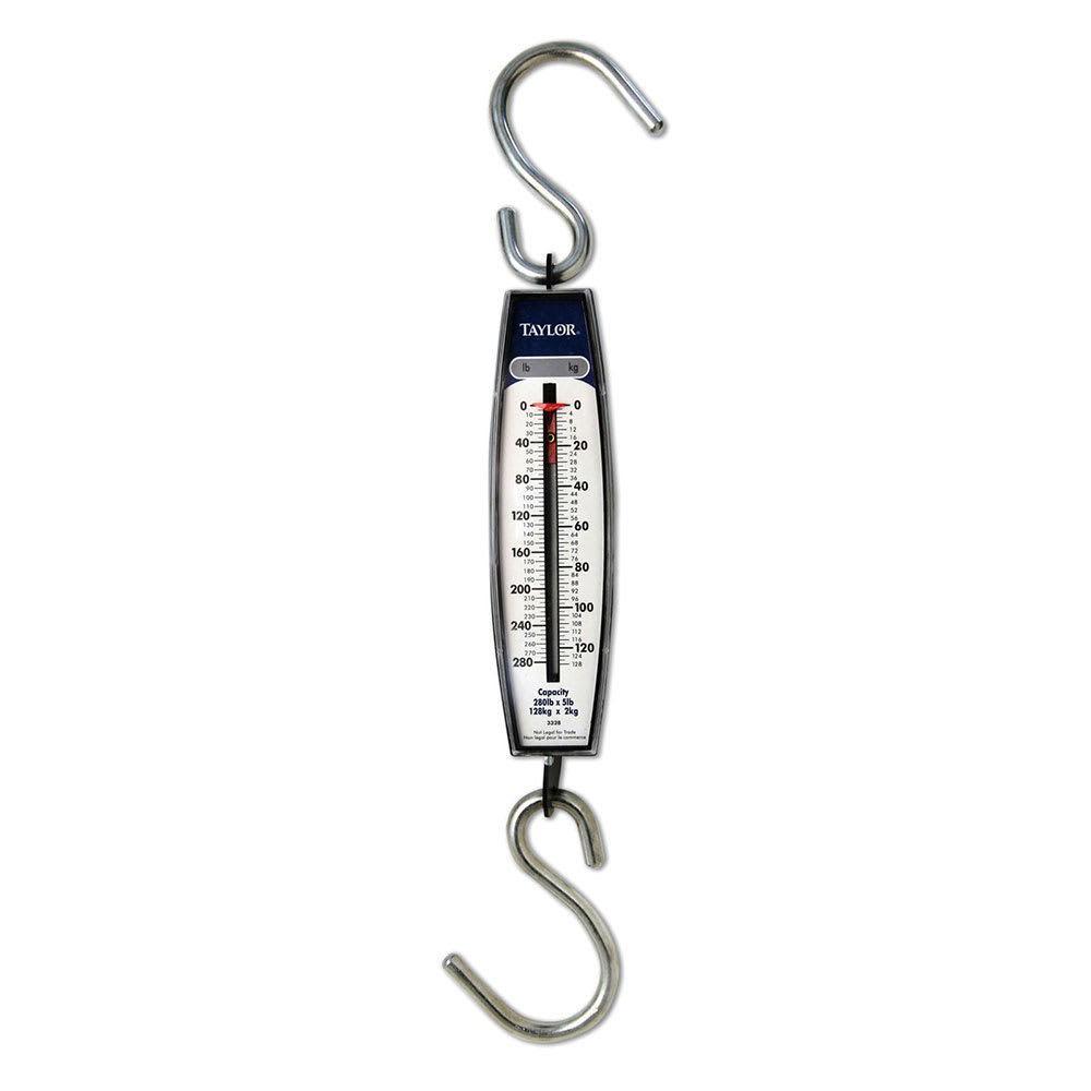 Taylor® Professional Hanging Scale – Dynamic Aqua Supply