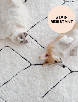 10 Best Pet-Friendly Rugs for Home Owners - Top Rugs for Pets