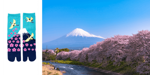 Crane, Sakura, and Mt Fuji.