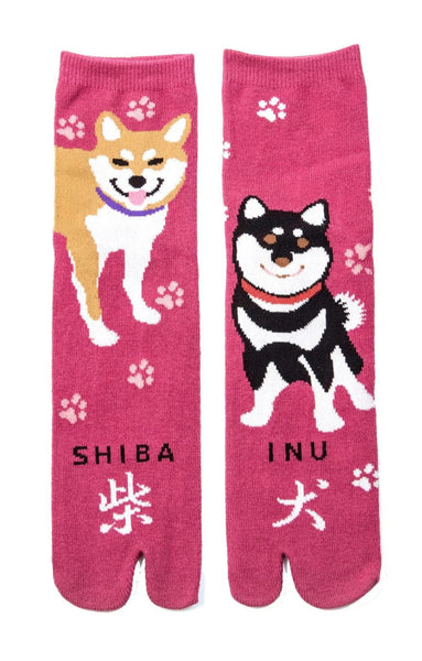 Tabi Toe Socks | Shiba Inu | Made in Japan – NARASOCKS