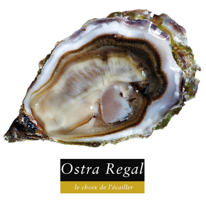 Buy Gillardeau Ostra Regal Oysters Online In Singapore At Ninja Food