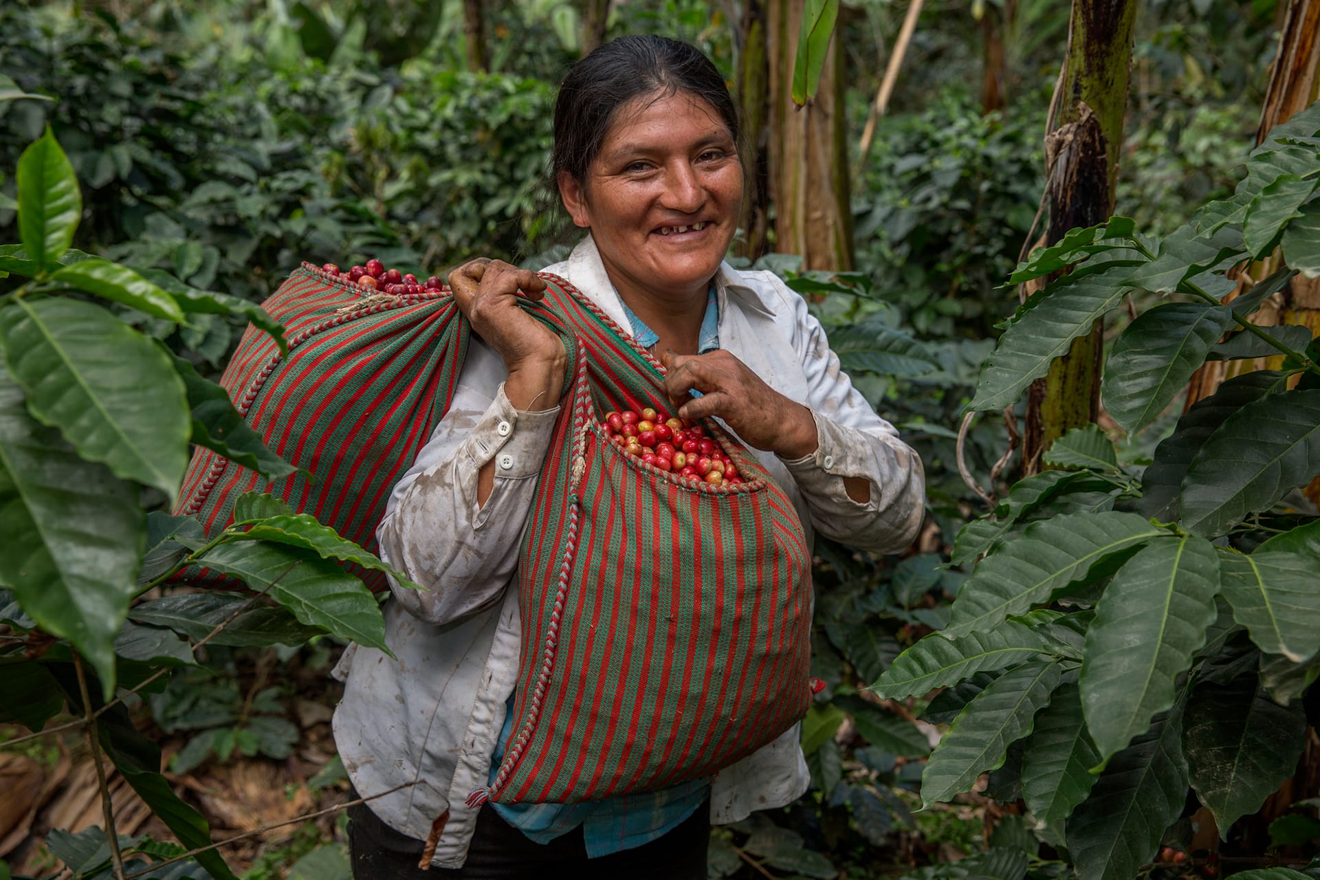 Équitable Fairtrade café coffee