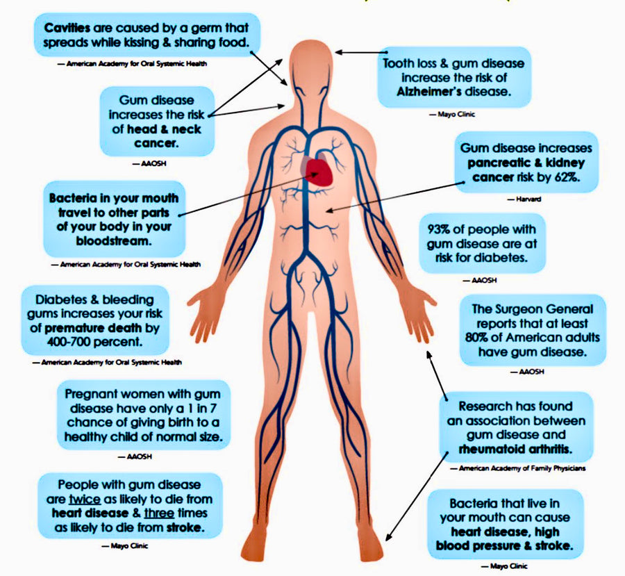 can-your-teeth-give-you-a-heart-attack-blog-38-the-virgin-olive