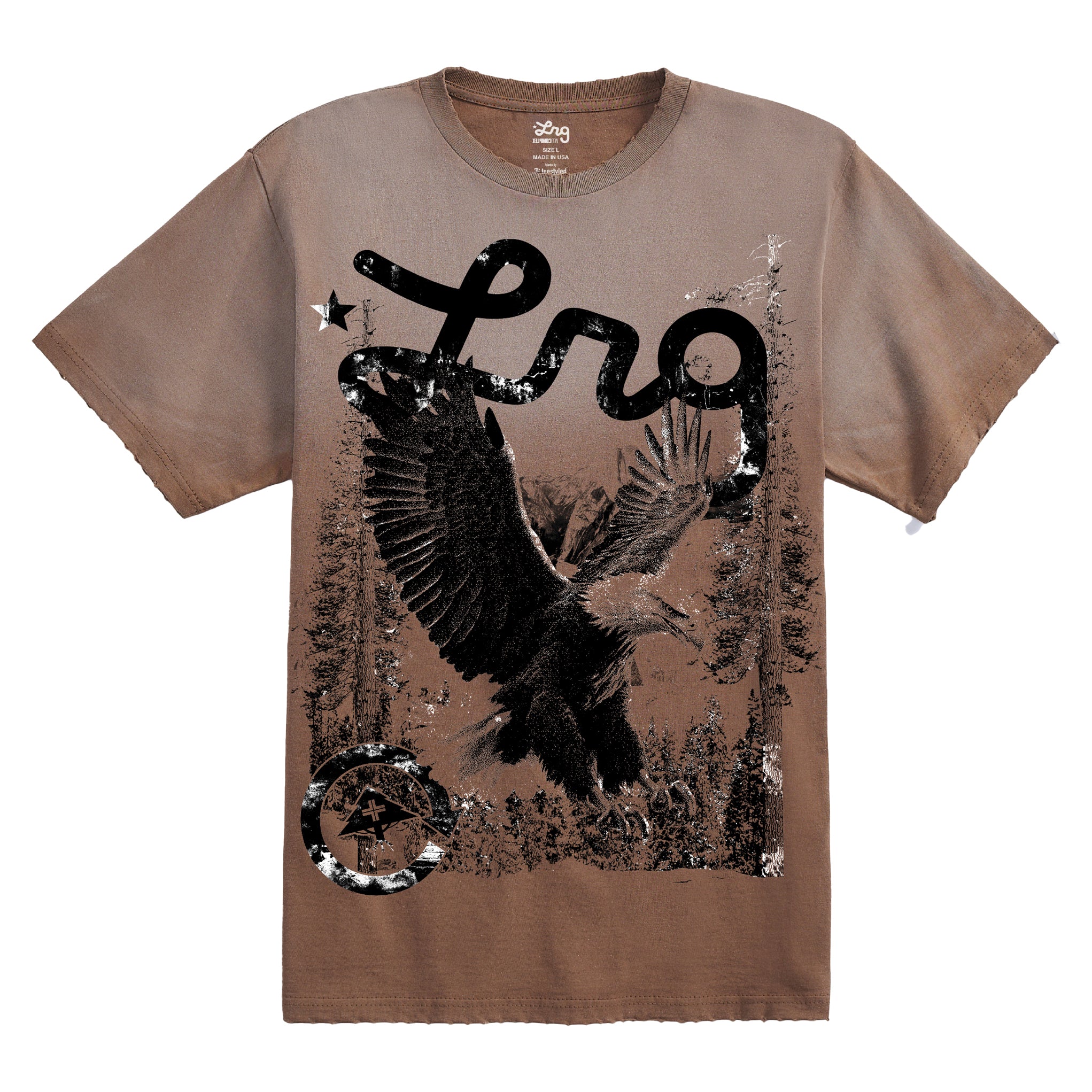 LRG COMPLEX EAGLE 1