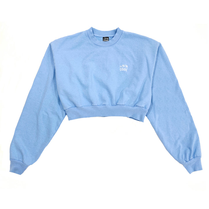 light blue crop hoodie