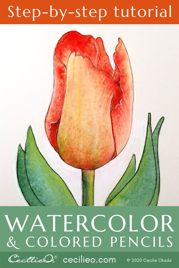 How to Watercolor Tulips and Retouching with Colored Pencils