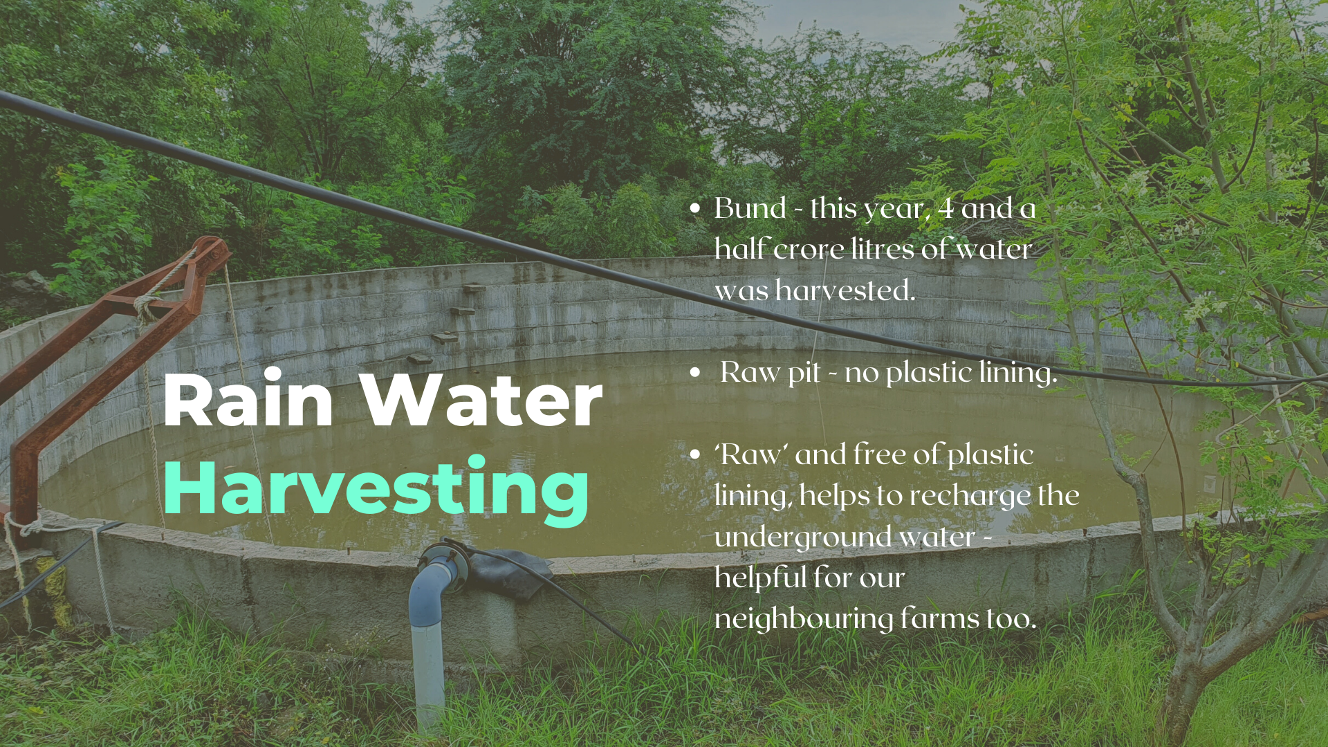 Rain water harvesting, Organic Farming, Carbon positive business, two brothers organic farms