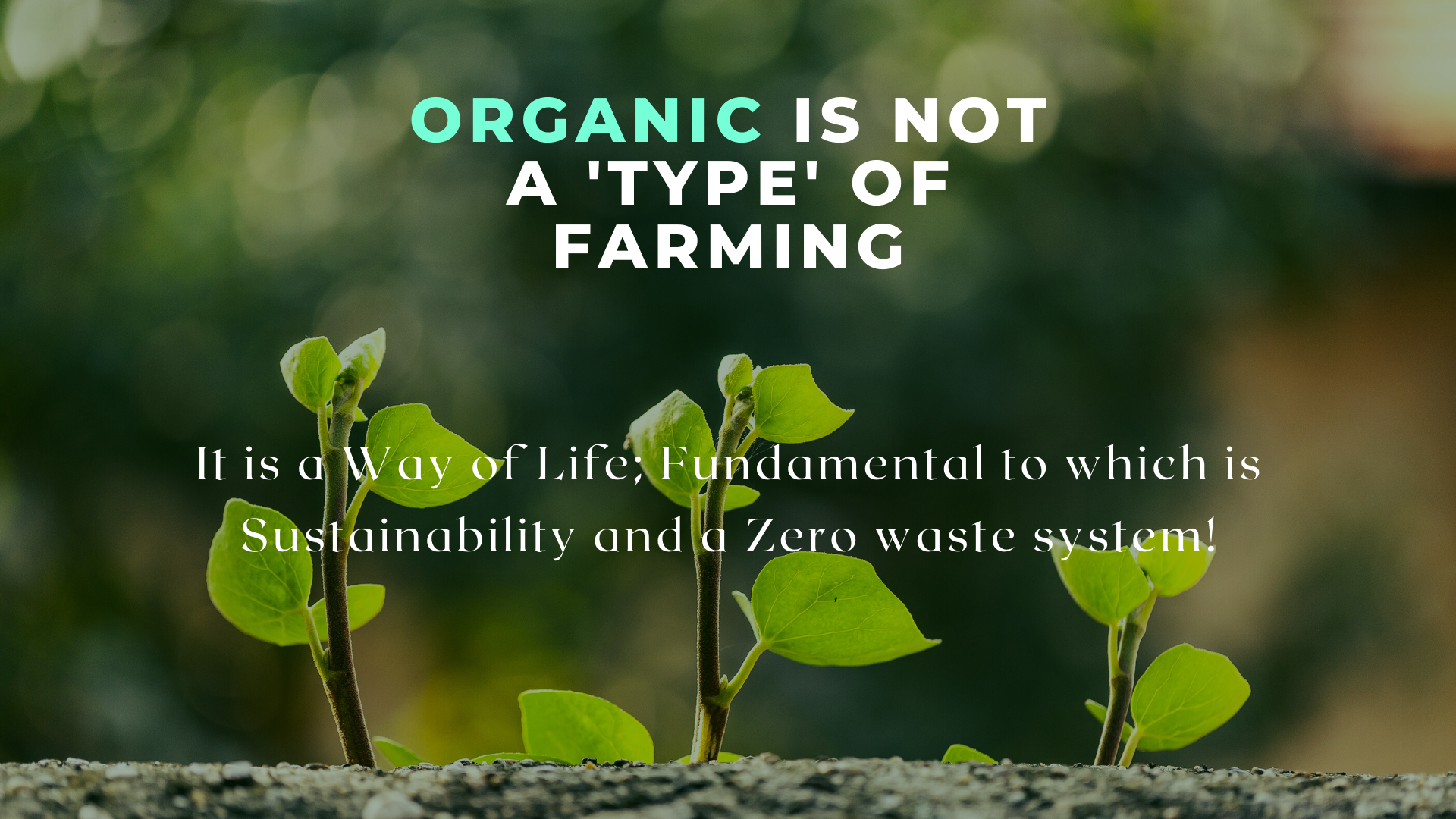 Organic farming, Carbon positive business, Carbon sequestering, sustainable packaging, Waste management, Electric transport, Sustainable living, Farmers for The Planet