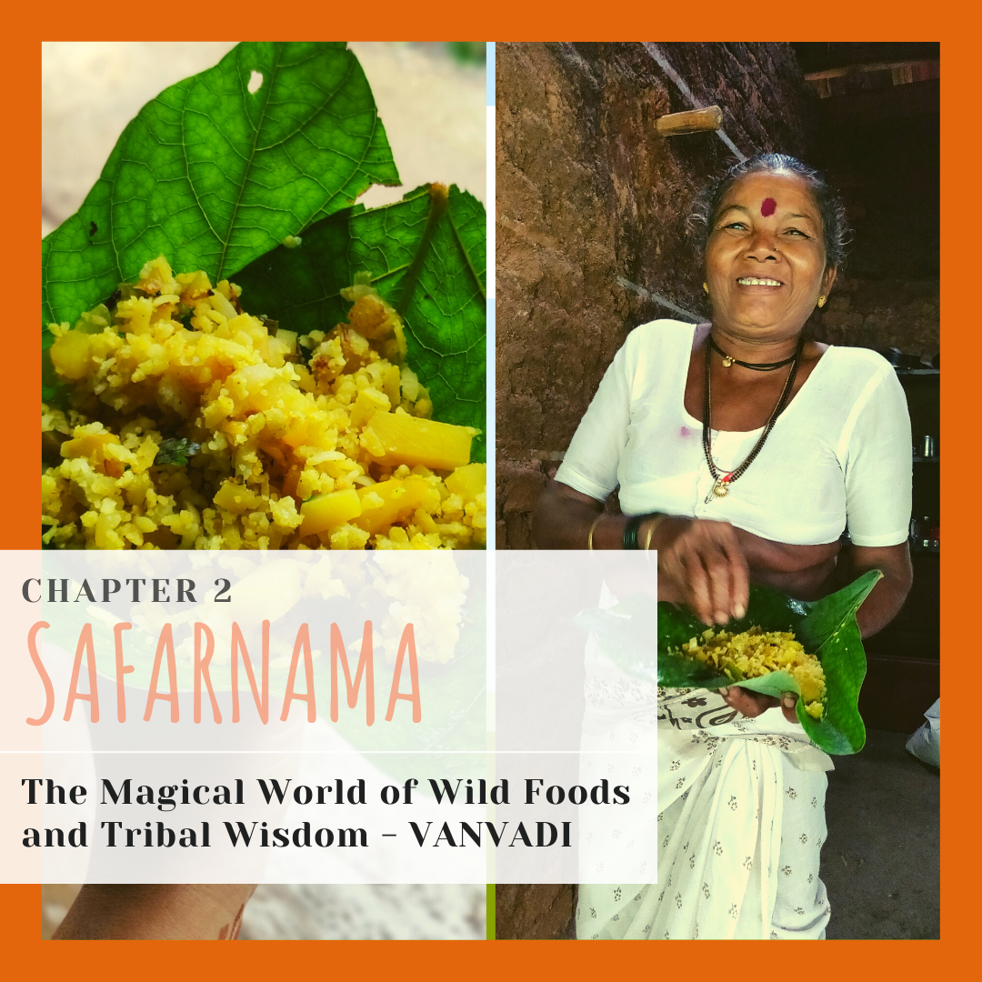 forest shelter, earthen chulha, simple meal made with the freshest ingredients, forest with fireflies, soothing tunes, regenerating a forest, practicing natural farming