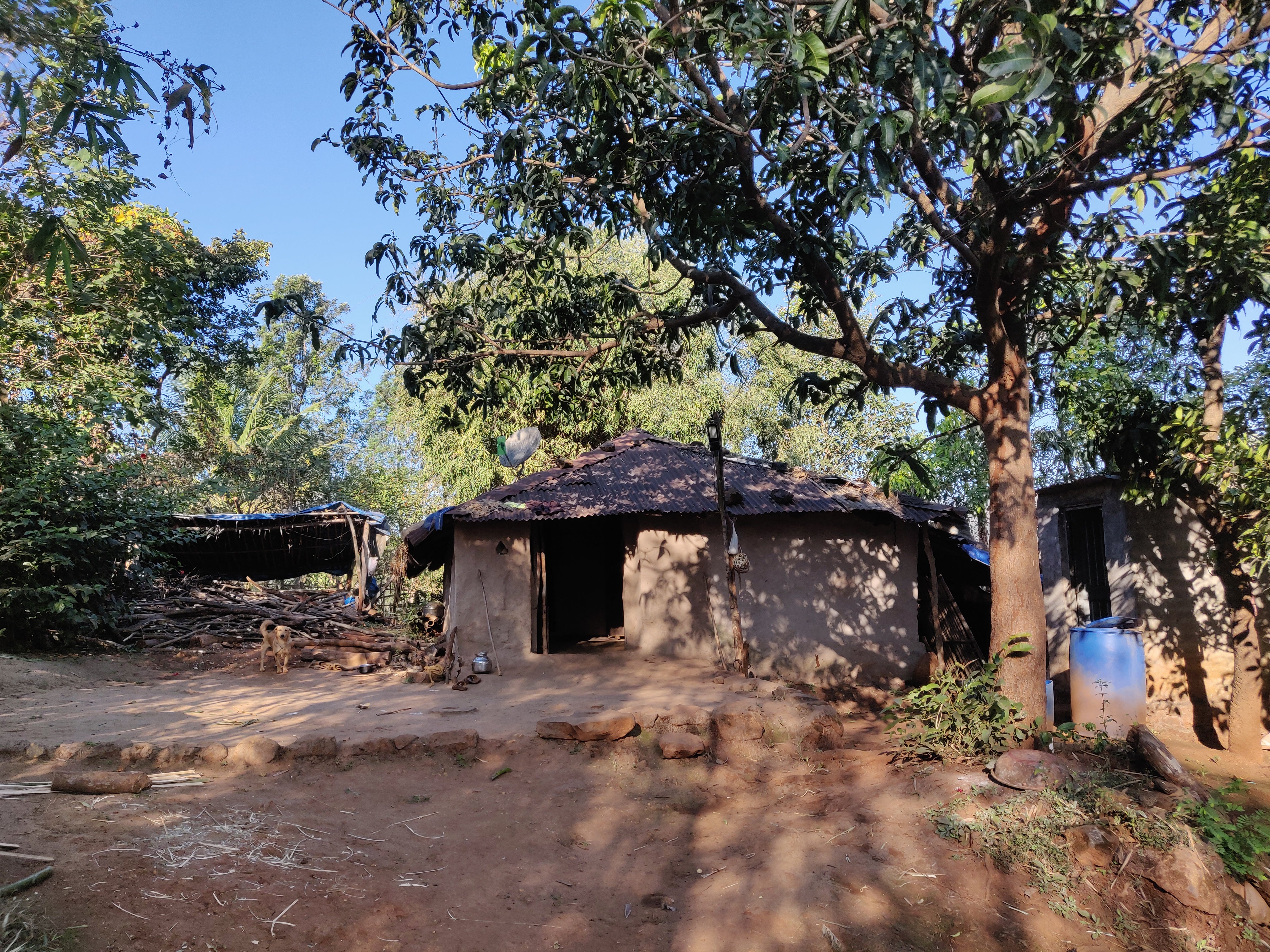 village house, village hut, village home, culture of village, people of village, love for village, puran poli recipe, 