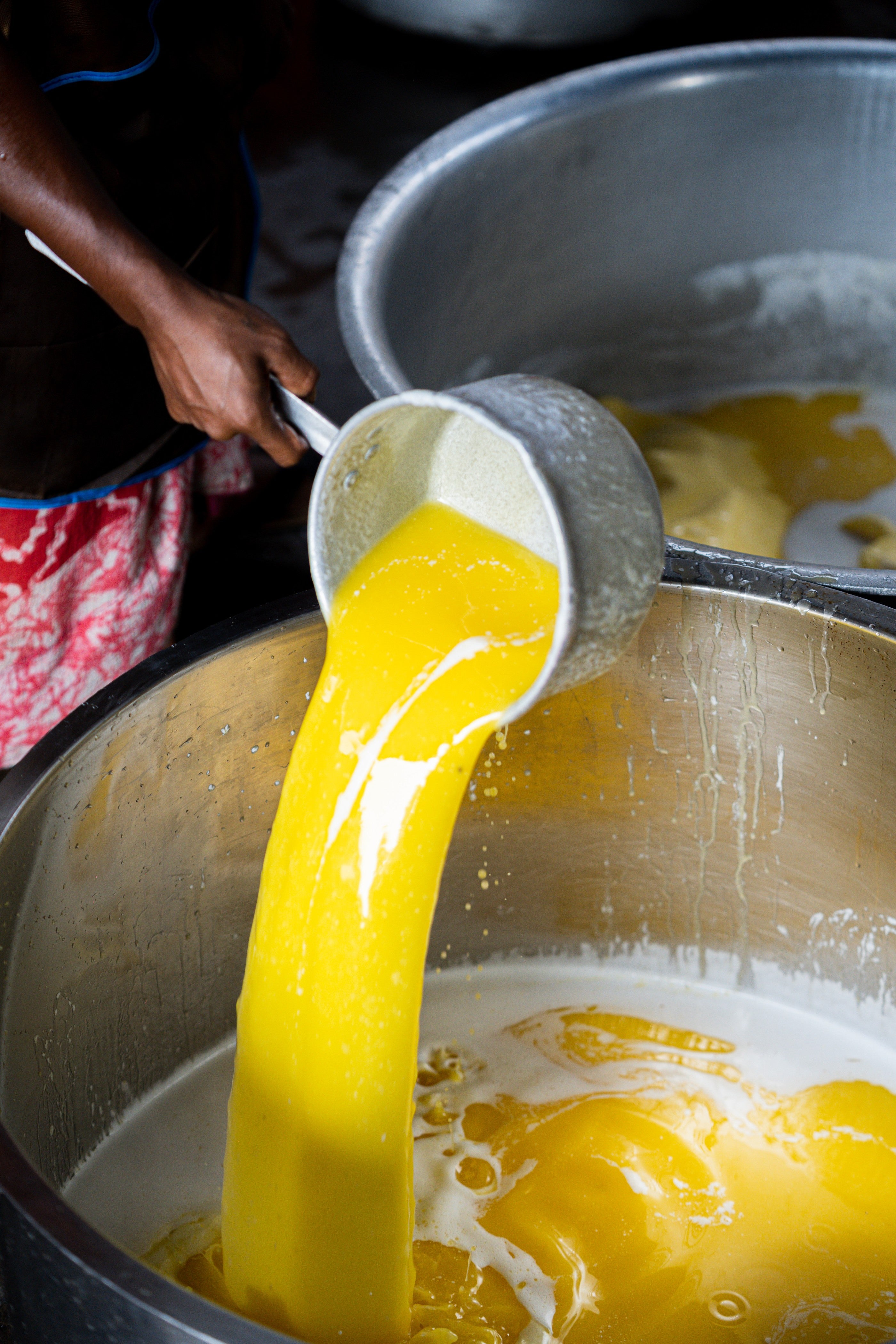 Making of Desi Gir Cow Ghee, A2 Ghee, Cultured Ghee at Two Brothers Organic Farms