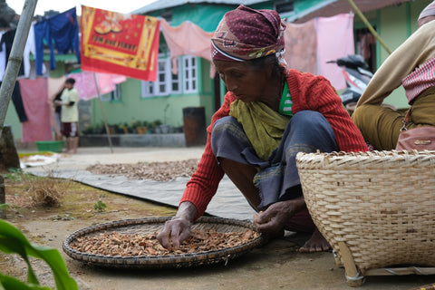 Women Farmer sorting turmeric 