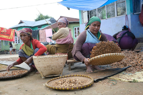 Women Farmers processing the Lakadong Turmeric 