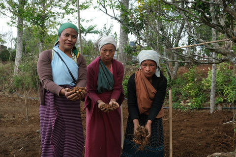 Tribal Women Farmers of Lakadong Village