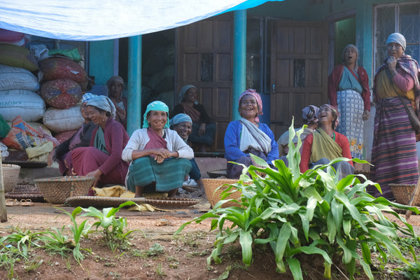 Women Farmers Lakadong Village