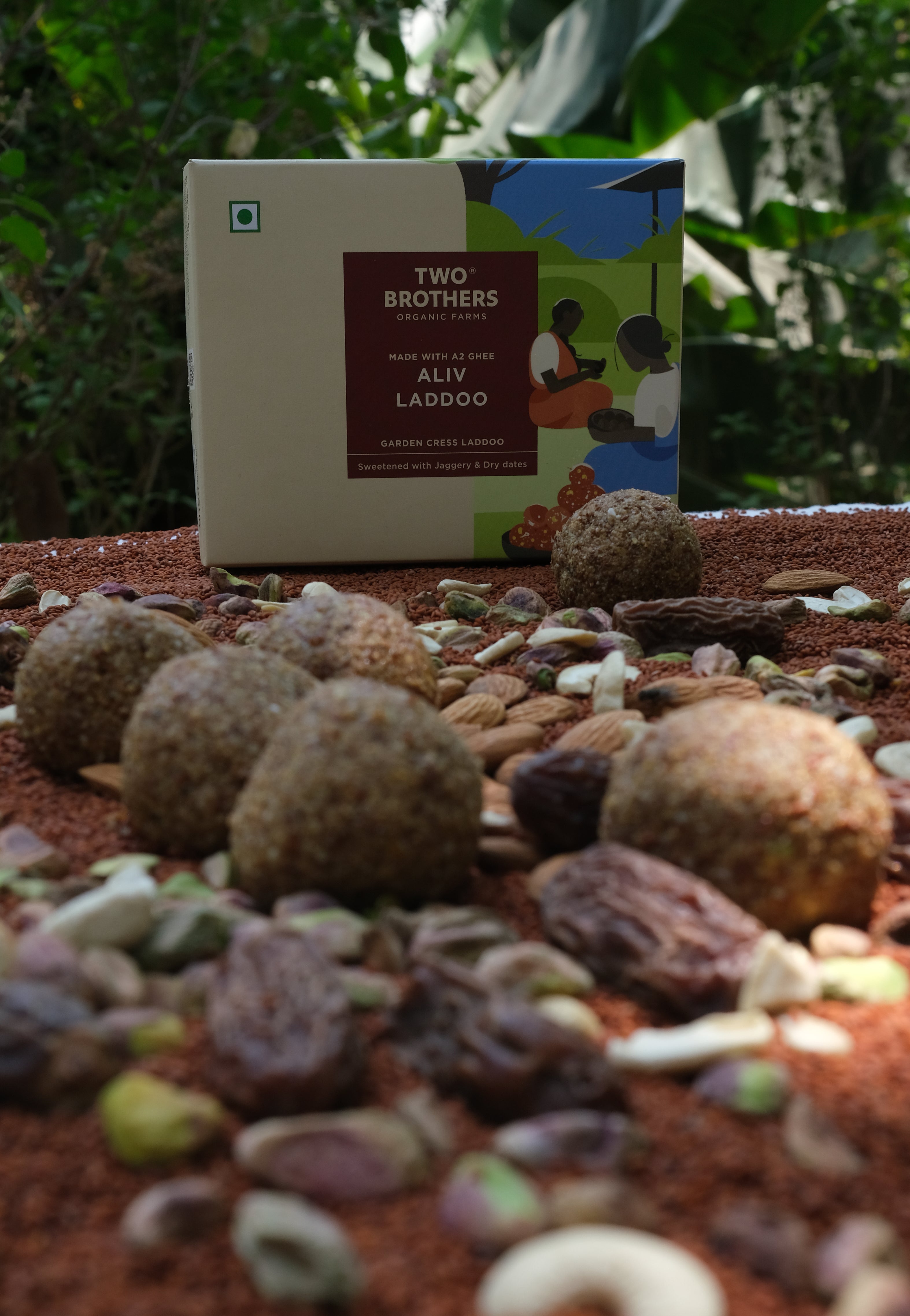 Aliv Laddoos Made Using Halim Seeds, Pistachio, Cashew Nuts, Dates at Two Brothers Organic Farms