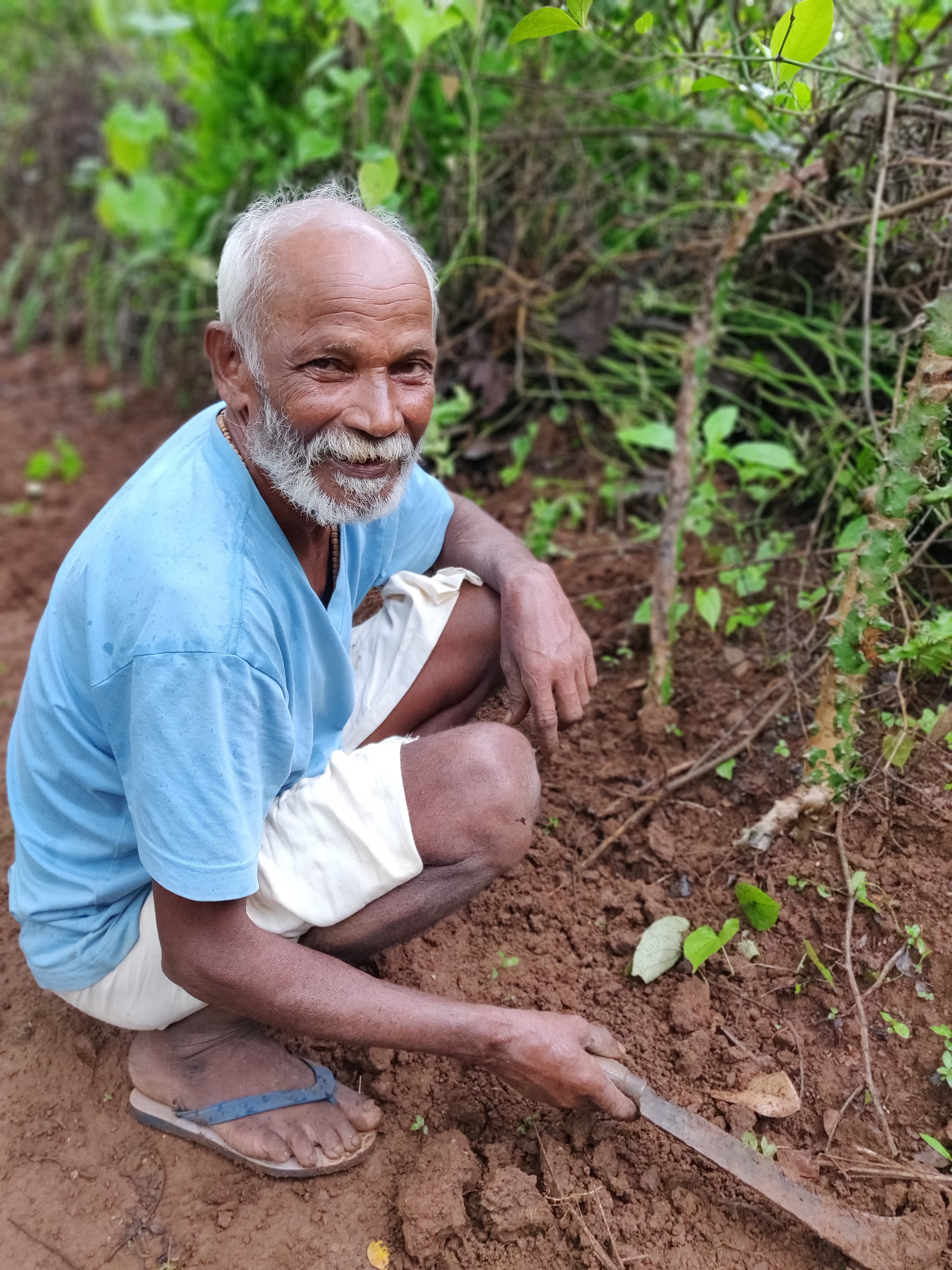 practising natural farming, knowledge about forest foods, wild forest foods, active members, Travel Dirty’s style,  forest foods,  Travel Dirty,    regular volunteer, village food, tribal wisdom, impart wisdom, medicinal plants, 