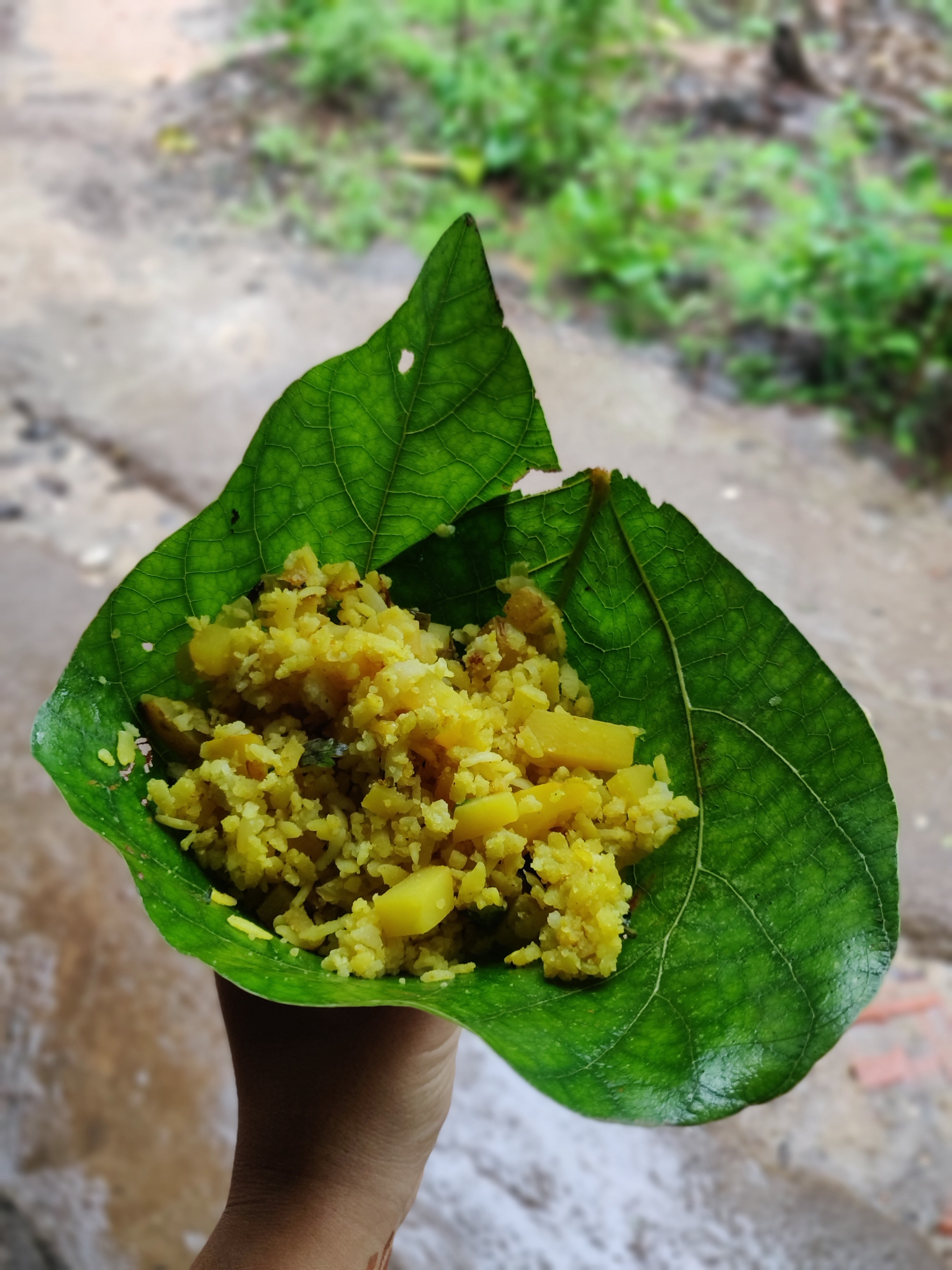 forest shelter, earthen chulha, simple meal made with the freshest ingredients, forest with fireflies