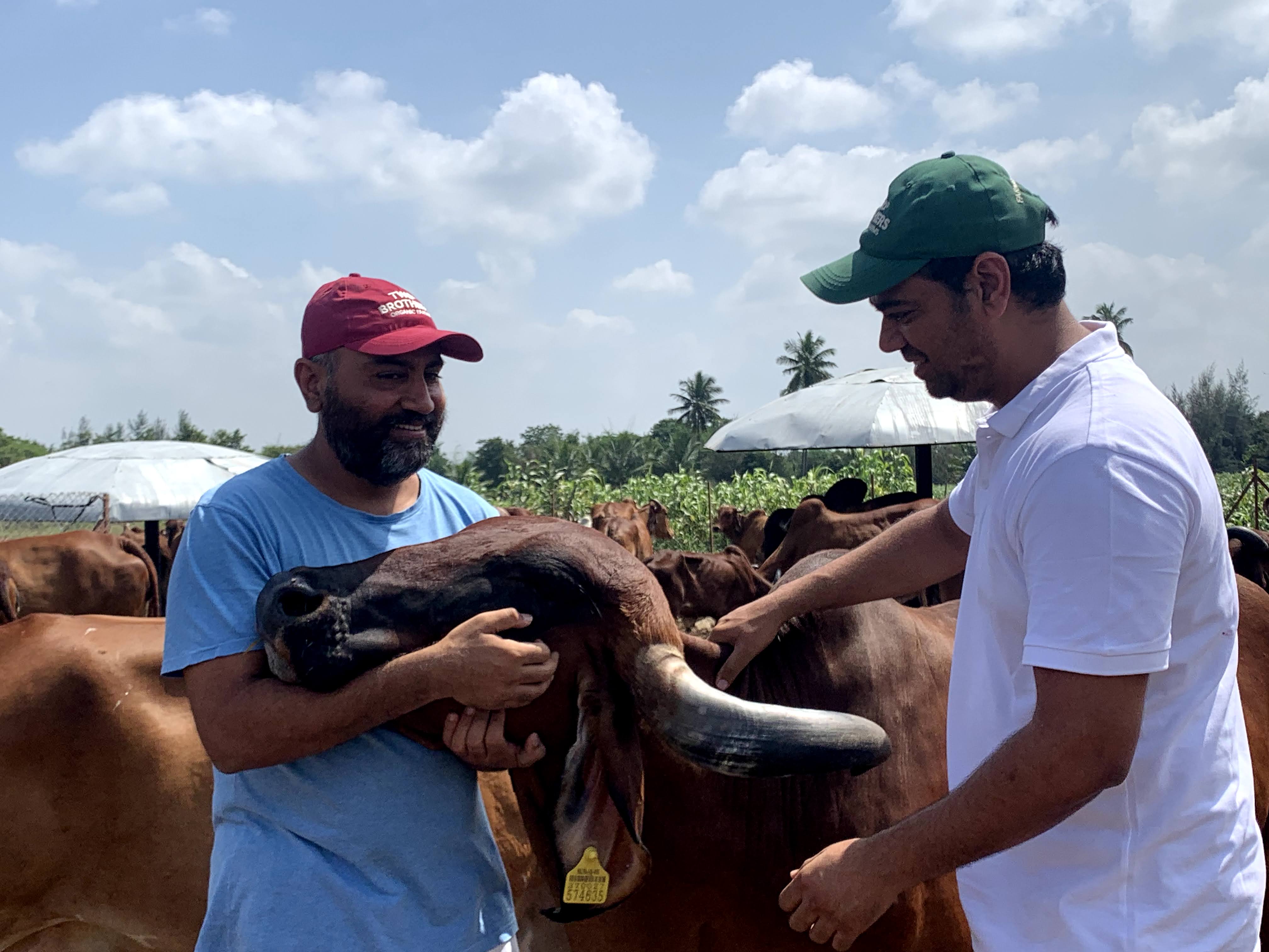 Satyajit Hange, Ajinkya Hange, Two Brothers Organic Farms, Gir Cow, Desi Cow