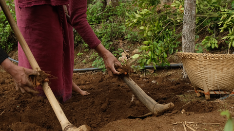 Plough called the Makhu to fork the soil