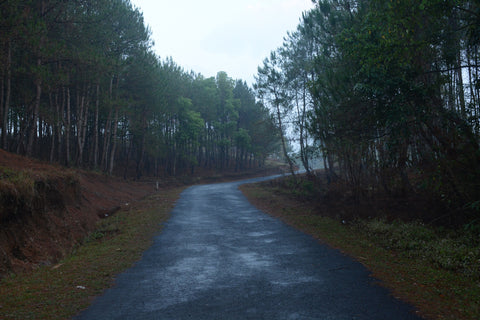 Jainta Hill Road in Meghalaya