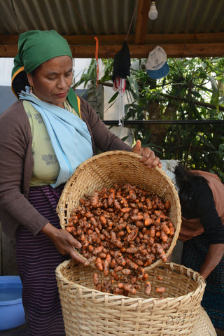 Woman using Kreeha for sorting turmeric