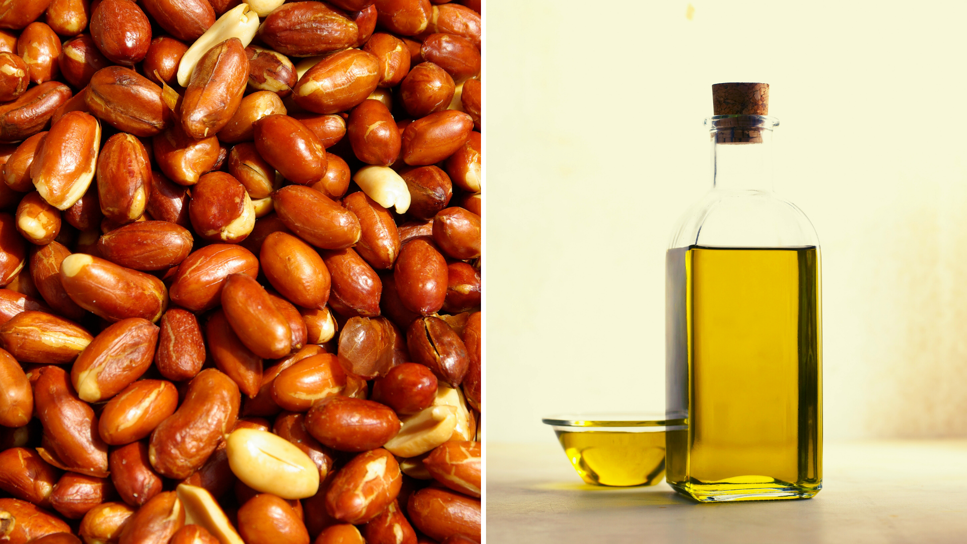 groundnut oil, making of oil, making of groundnut oil, process of making groundnut oil, oil for cooking, best oil, healthy oil, organic oil, use of groundnut oil, oil, wood pressed groundnut oil, traditional groundnut oil