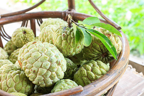 Custard apple что это за фрукт