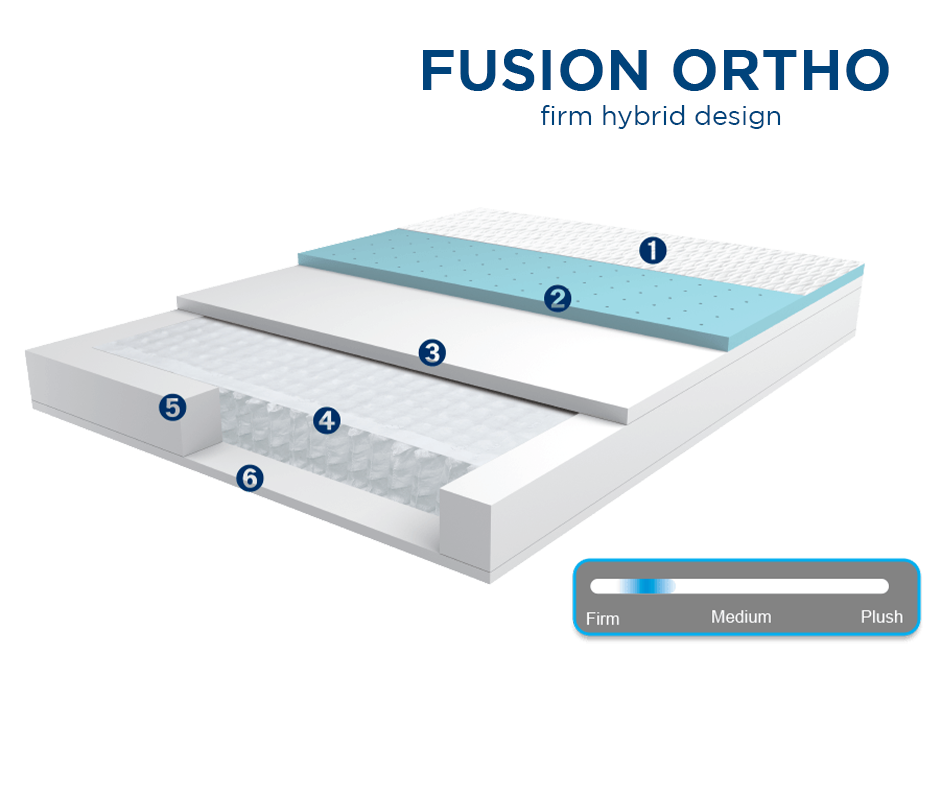 mlily fusion ortho