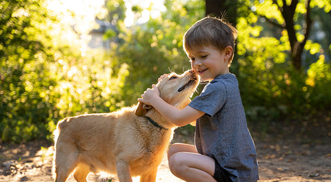 le chien et l'enfant bienfaits et bénéfices