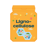 Lignocellulose