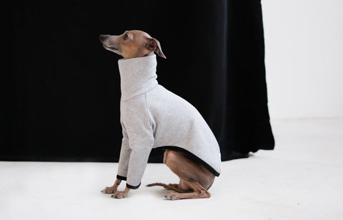 a grey cotton jumper for a whippet or italian greyhound