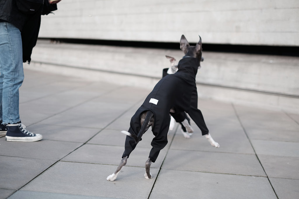 Whippet Onesie Coat