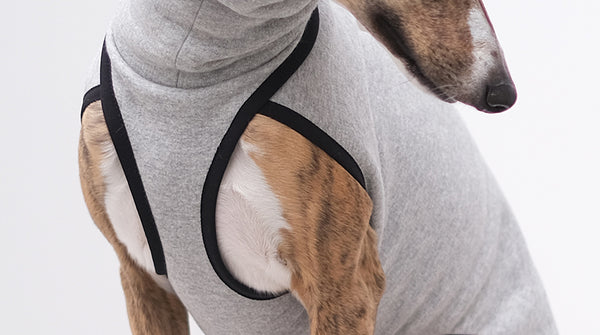 whippet jumper in grey cotton