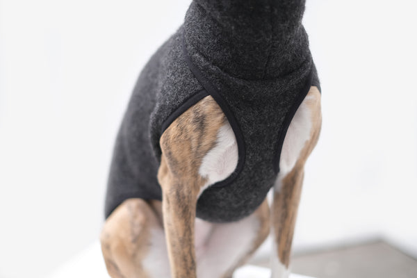 boiled wool whippet jumper