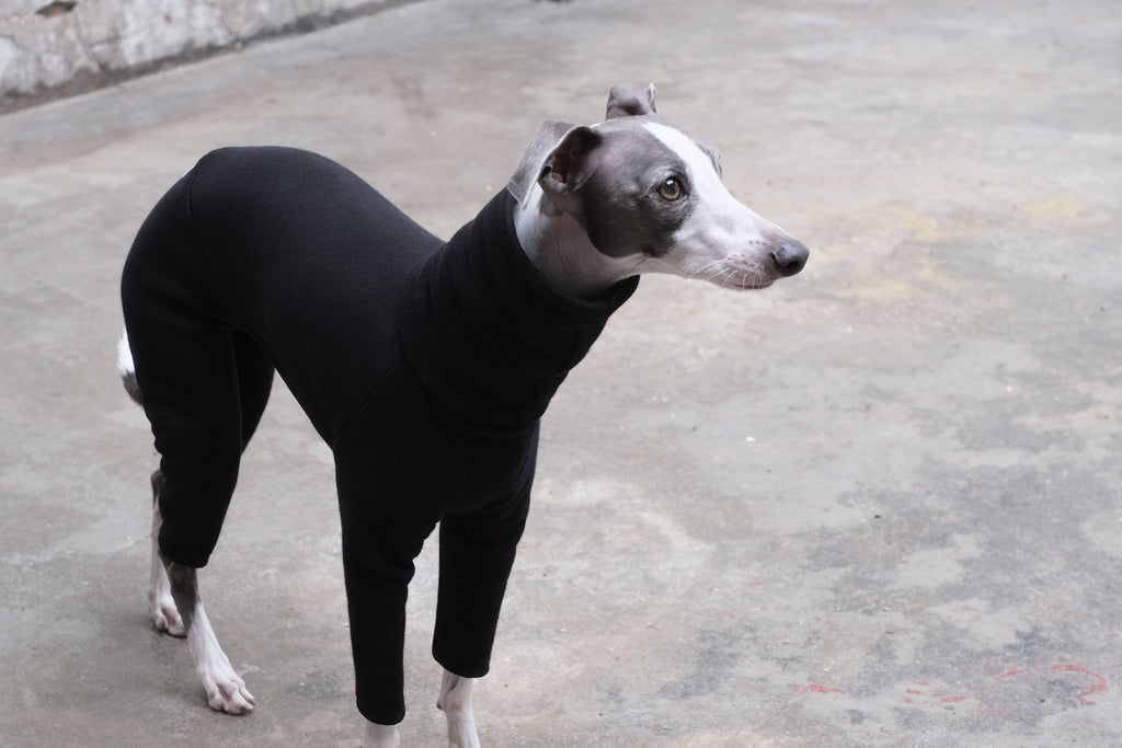 whippet onesie