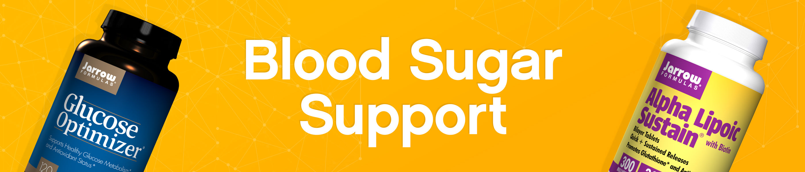 Blood Sugar Support header image