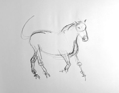 Quick charcoal drawing of a horse.