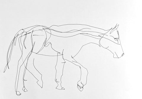 Blind contour drawing of a horse.